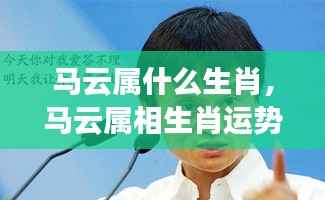 马云属相生肖运势解析及生肖运势特点探讨