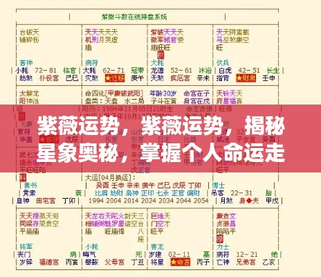 紫薇运势揭秘,掌握星象奥秘,洞悉个人命运走势