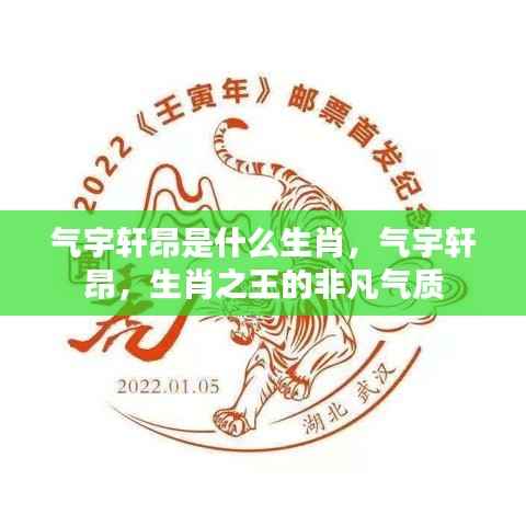 揭秘生肖之王的气宇轩昂，非凡气质展现的生肖风采