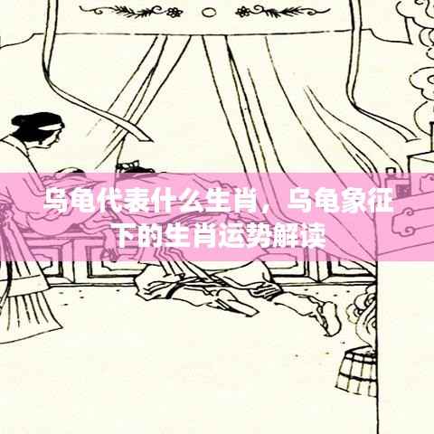 乌龟象征的生肖运势解读,深度解析乌龟代表的生肖意义