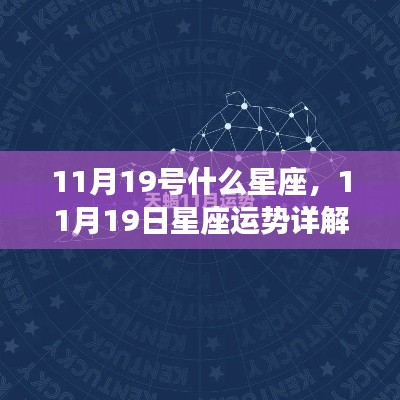 揭秘天蝎座魅力背后的秘密,11月19日星座运势详解与天蝎座运势展望