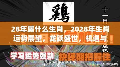 2028年生肖龙运势展望,机遇与挑战并存的盛世