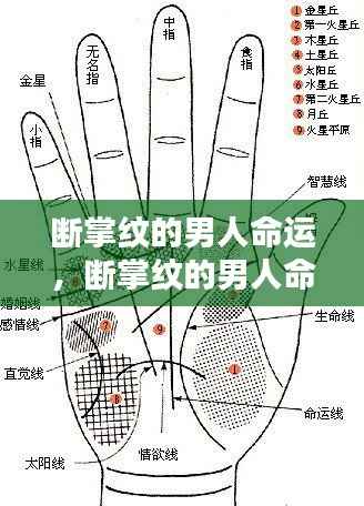 断掌纹男人的命运揭秘,神秘掌纹预示未来走向