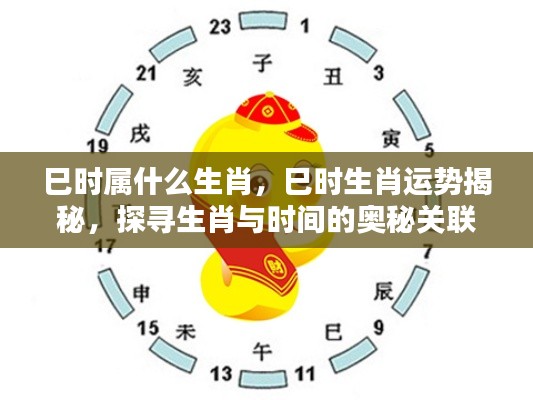巳时生肖运势揭秘,探寻生肖与时间的神秘联系及运势展望