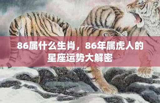 86年属虎人的星座运势全面解析与揭秘