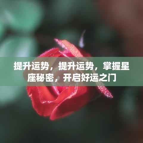 掌握星座秘密,开启好运之门,提升个人运势秘籍!