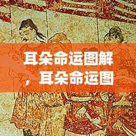 耳朵命运图解,洞悉星象,揭秘人生运势走向之谜