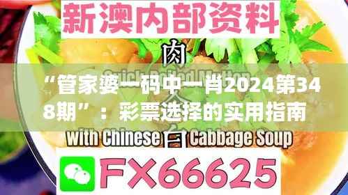 “管家婆一码中一肖2024第348期”:彩票选择的实用指南