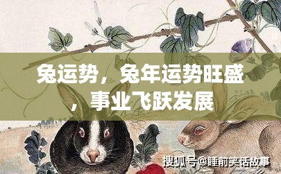 兔年运势大旺,事业飞跃发展与运势旺盛的兔子们