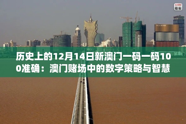 历史上的12月14日新澳门一码一码100准确:澳门赌场中的数字策略与智慧选择