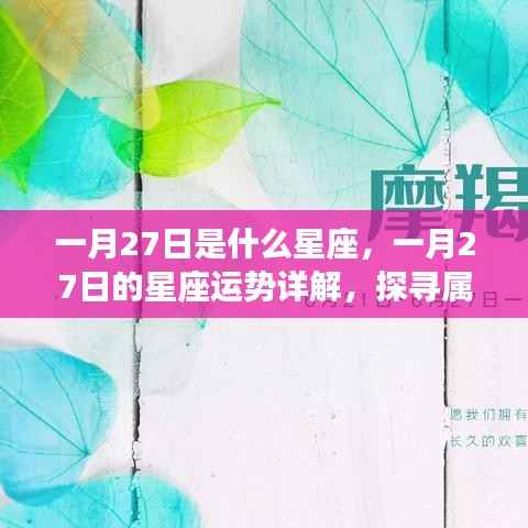一月27日星座运势详解与奥秘探寻，属于你的星座运势揭秘