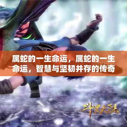 属蛇人的命运传奇,智慧与坚韧并存的一生之路