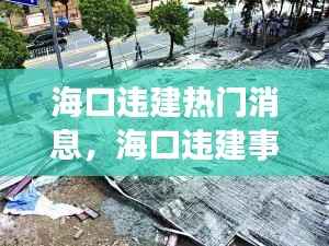海口违建事件持续发酵,星座运势警示下的热门话题