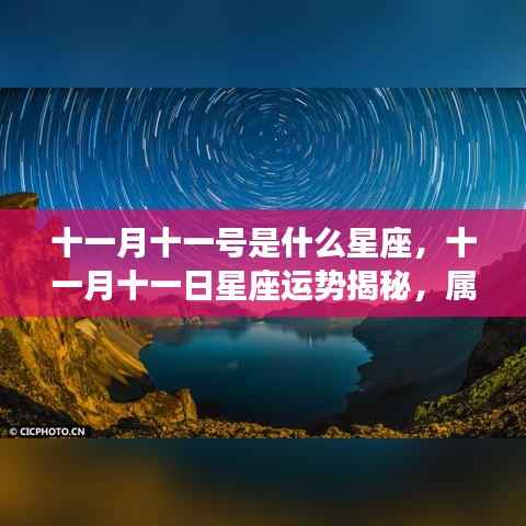 十一月十一日星座运势揭秘,星辰轨迹下的独特运势