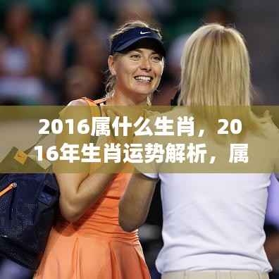 2016年属猴人的辉煌篇章，生肖运势深度解析