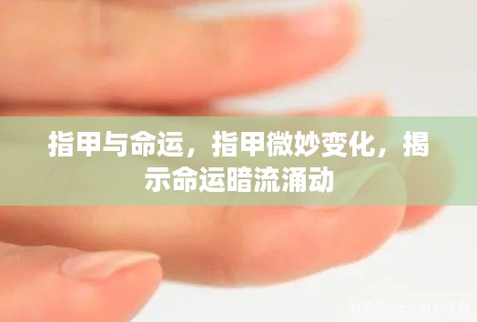 指甲微变揭示命运暗流涌动,命运与指甲的微妙关联