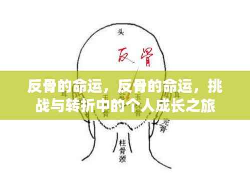 反骨命运,挑战转折中的个人成长之旅