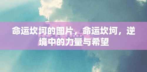 命运坎坷,逆境中的力量与希望之图