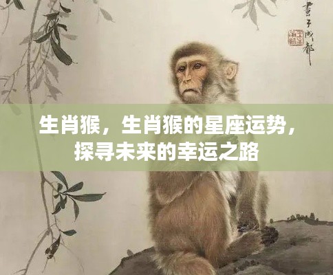 生肖猴星座运势揭秘,探寻未来的幸运之路