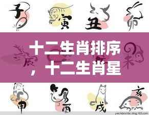 揭秘十二生肖排序与星座运势,背后的秘密大解密