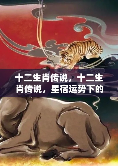 星宿运势下的生肖传奇,十二生肖传说探秘