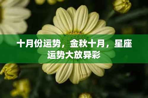 金秋十月星座运势概览,运势大放异彩,把握十月份好运势!