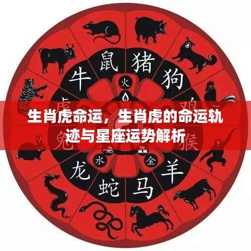生肖虎命运解析,命运轨迹与星座运势深度解读