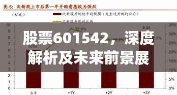 股票601542,深度解析及未来前景展望
