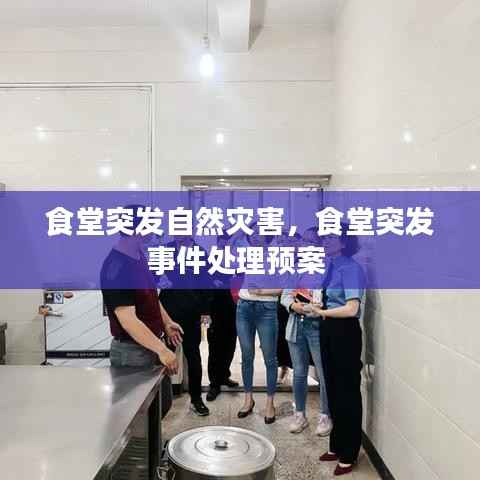 食堂突发自然灾害,食堂突发事件处理预案