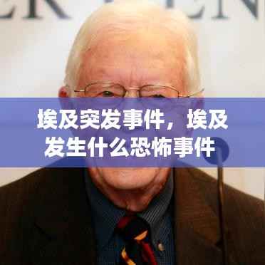 埃及突发事件，埃及发生什么恐怖事件 