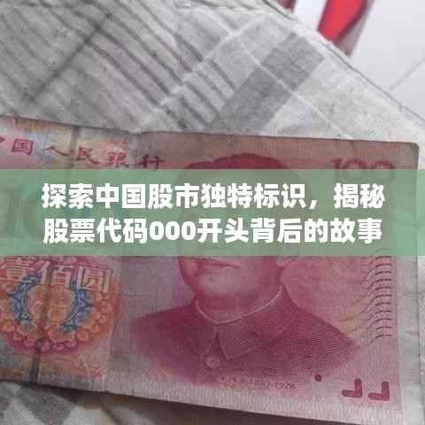 探索中国股市独特标识，揭秘股票代码000开头背后的故事