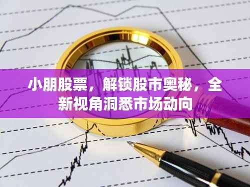小朋股票,解锁股市奥秘,全新视角洞悉市场动向