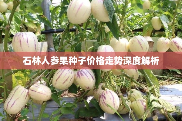 狗尾续貂 第5页