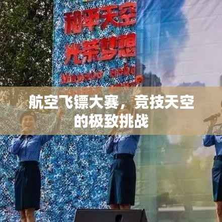 航空飞镖大赛,竞技天空的极致挑战