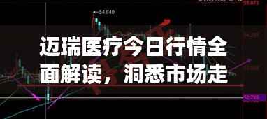 迈瑞医疗今日行情全面解读，洞悉市场走势，把握投资机会