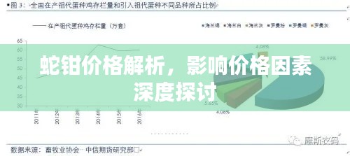 蛇钳价格解析，影响价格因素深度探讨