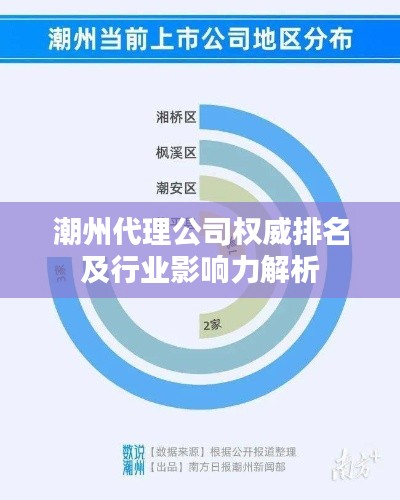 潮州代理公司权威排名及行业影响力解析