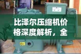 比泽尔压缩机价格深度解析,全面了解市场行情与报价