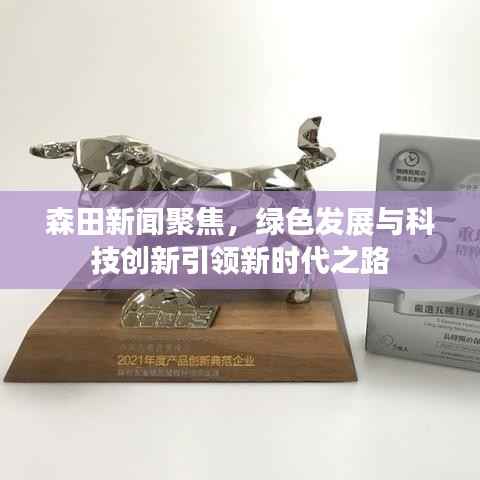 森田新闻聚焦,绿色发展与科技创新引领新时代之路