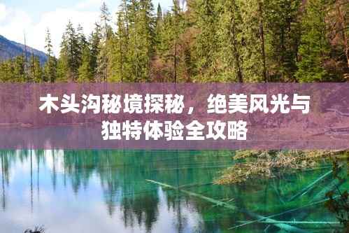 木头沟秘境探秘,绝美风光与独特体验全攻略