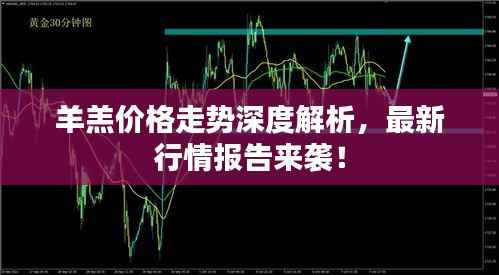 羊羔价格走势深度解析，最新行情报告来袭！