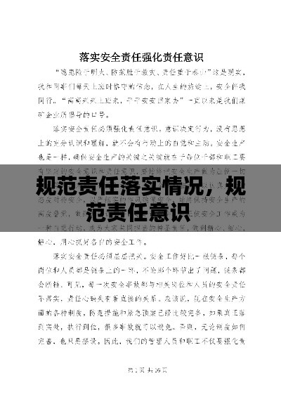 规范责任落实情况，规范责任意识 