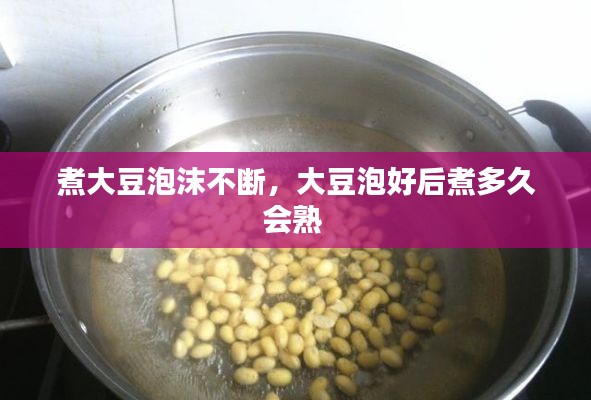 煮大豆泡沫不断，大豆泡好后煮多久会熟 