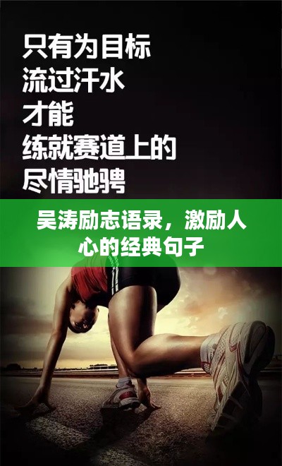 吴涛励志语录,激励人心的经典句子